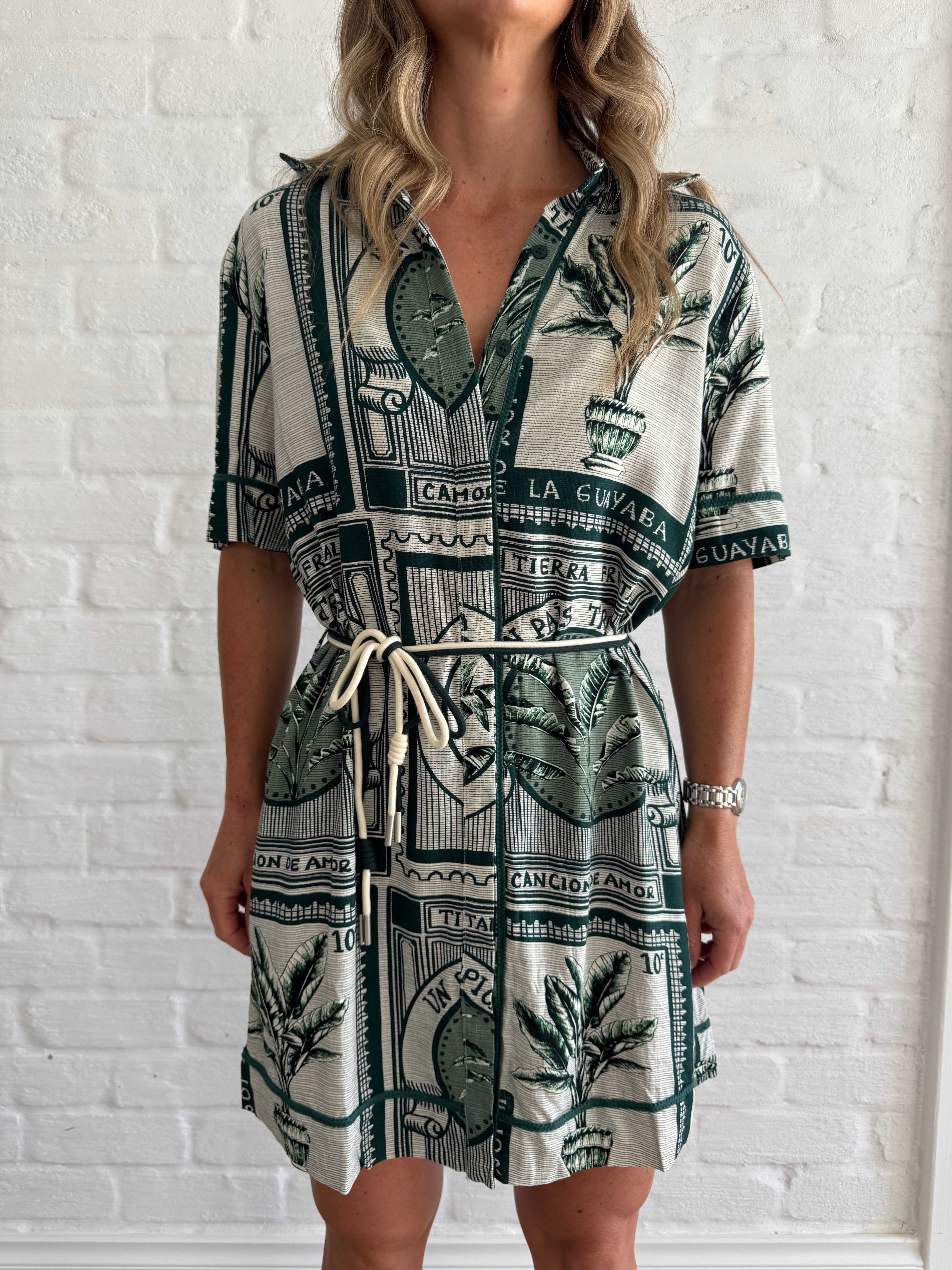 La guava shirt dress
