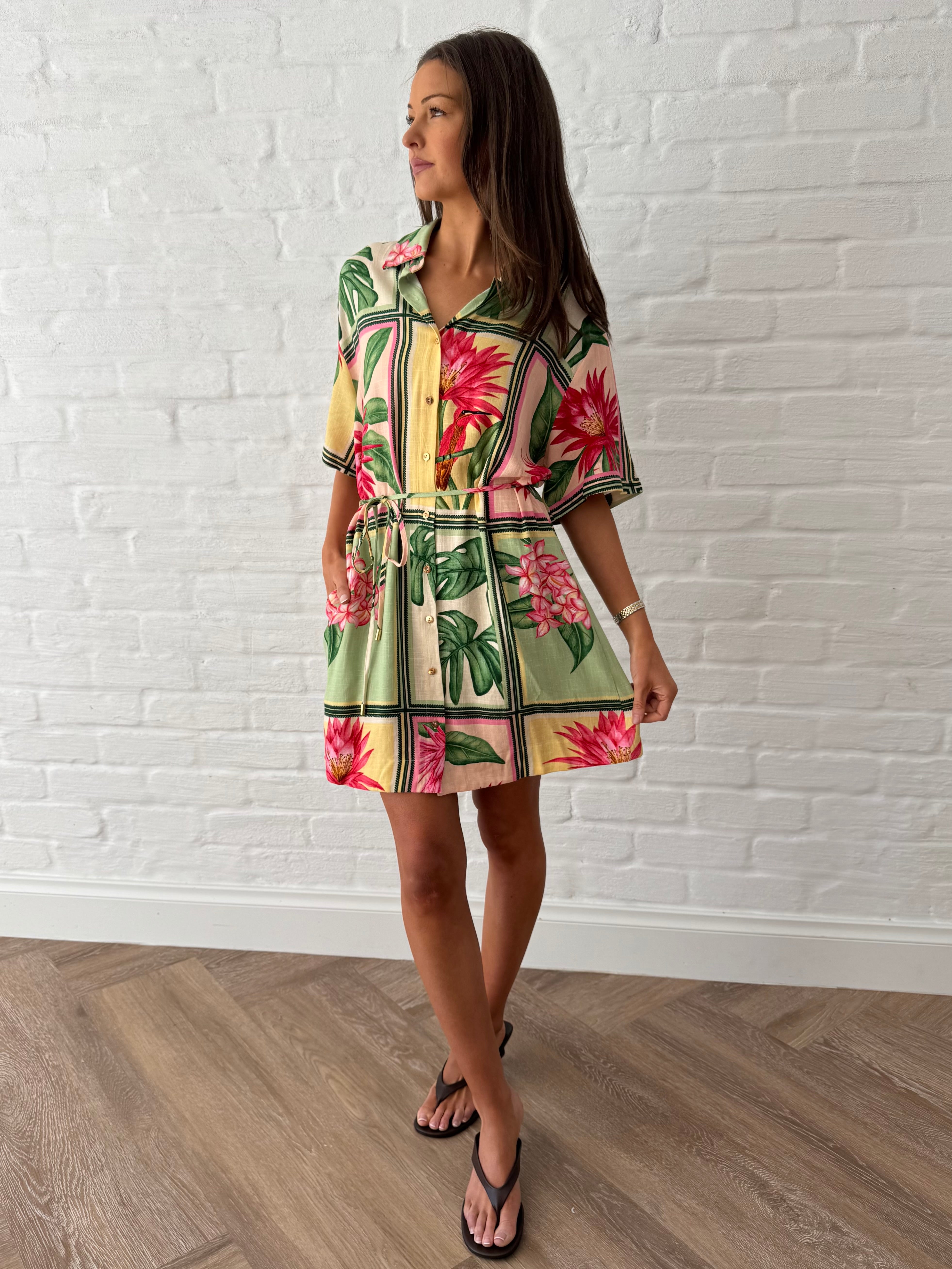 Paradise shirt dress