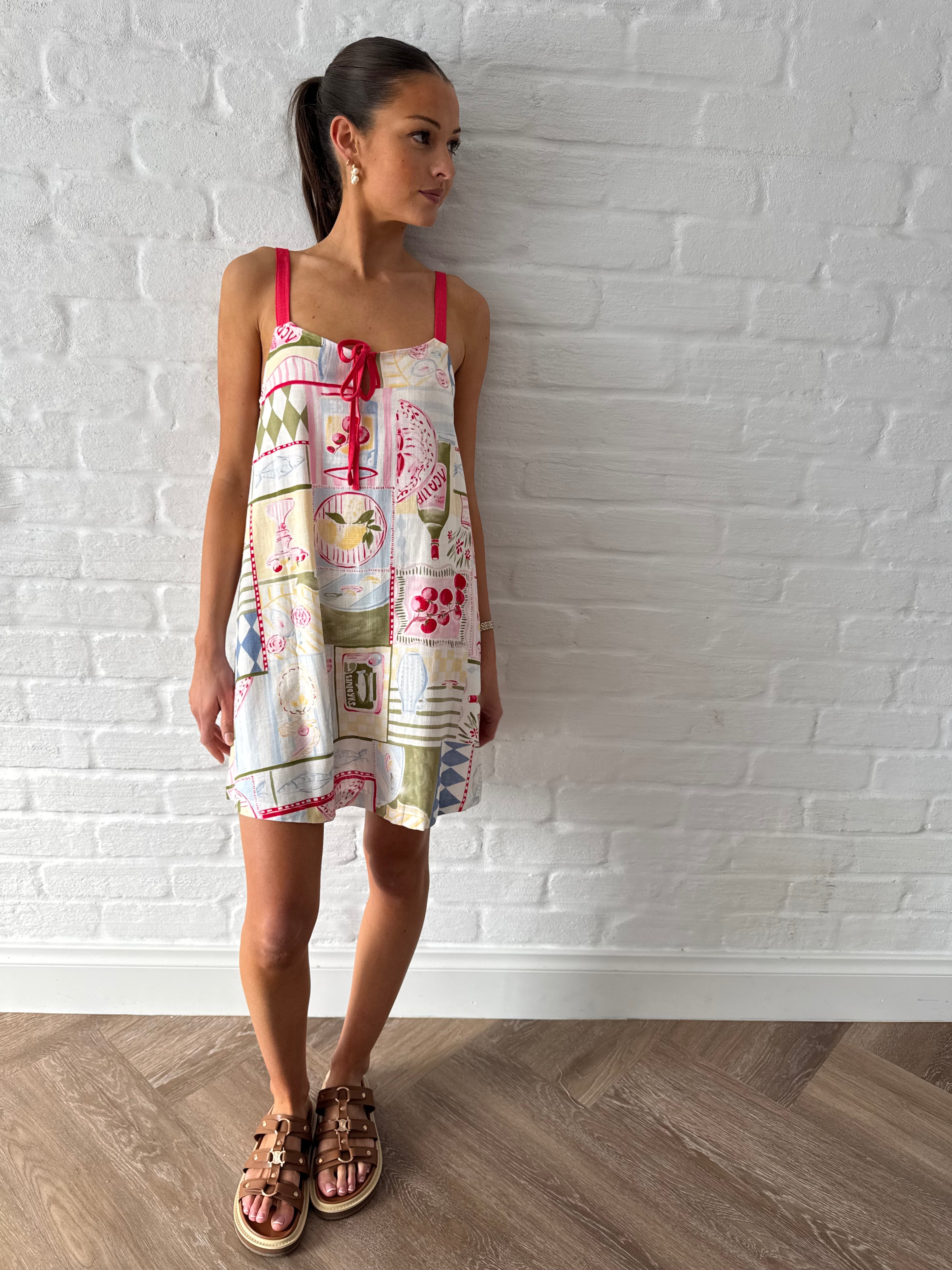 Picnic dreams mini dress
