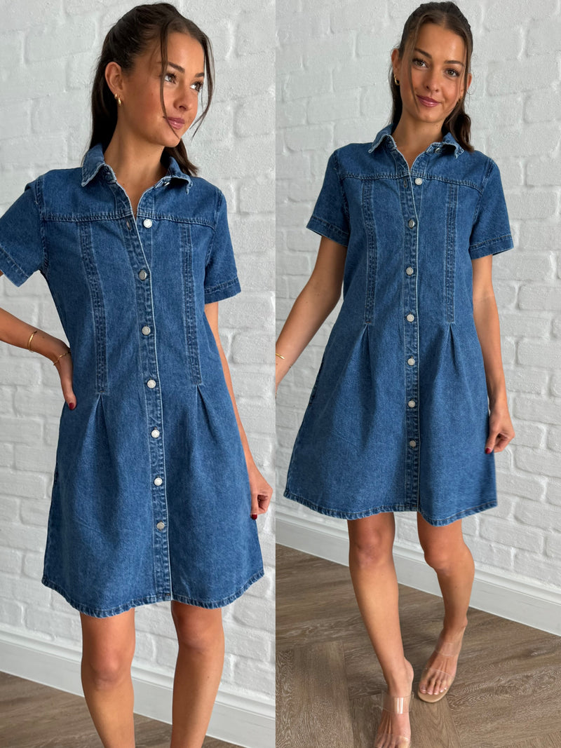 Eden denim dress