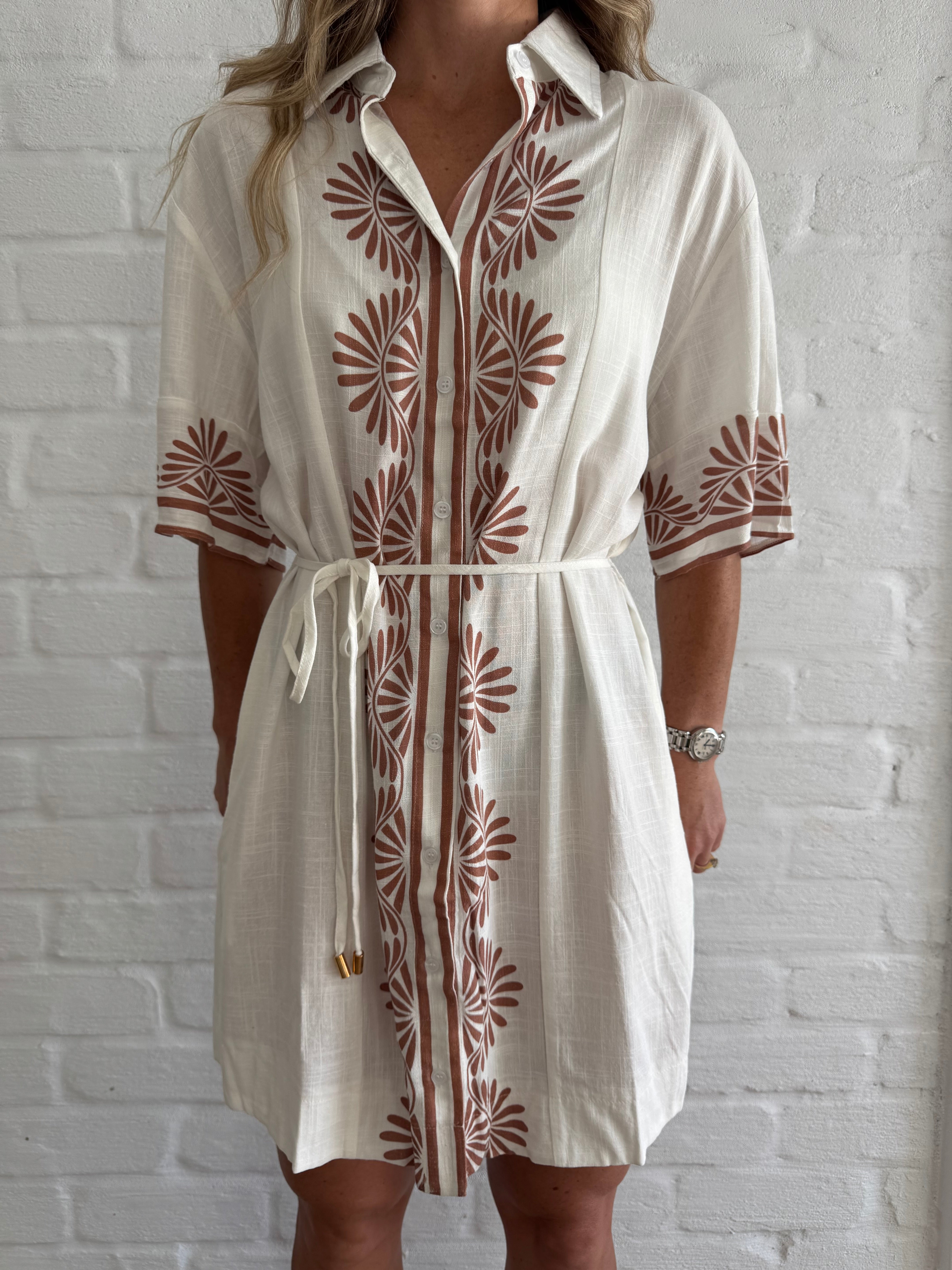 Desert muse shirt dress