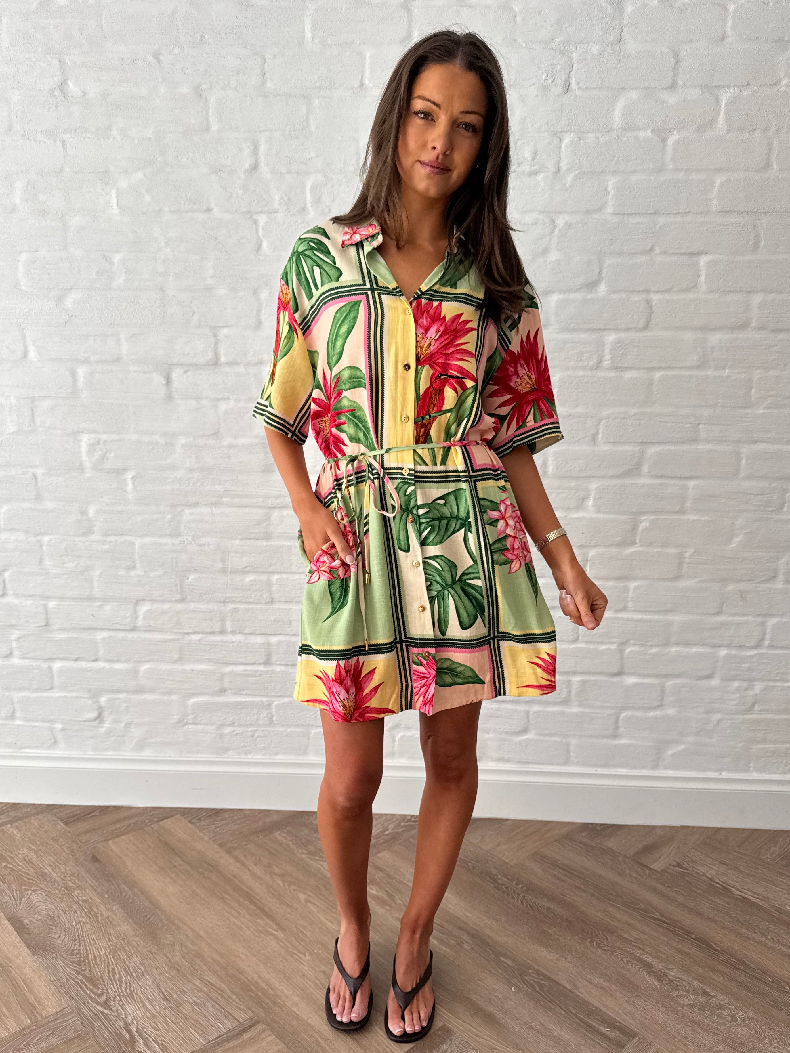 Paradise shirt dress