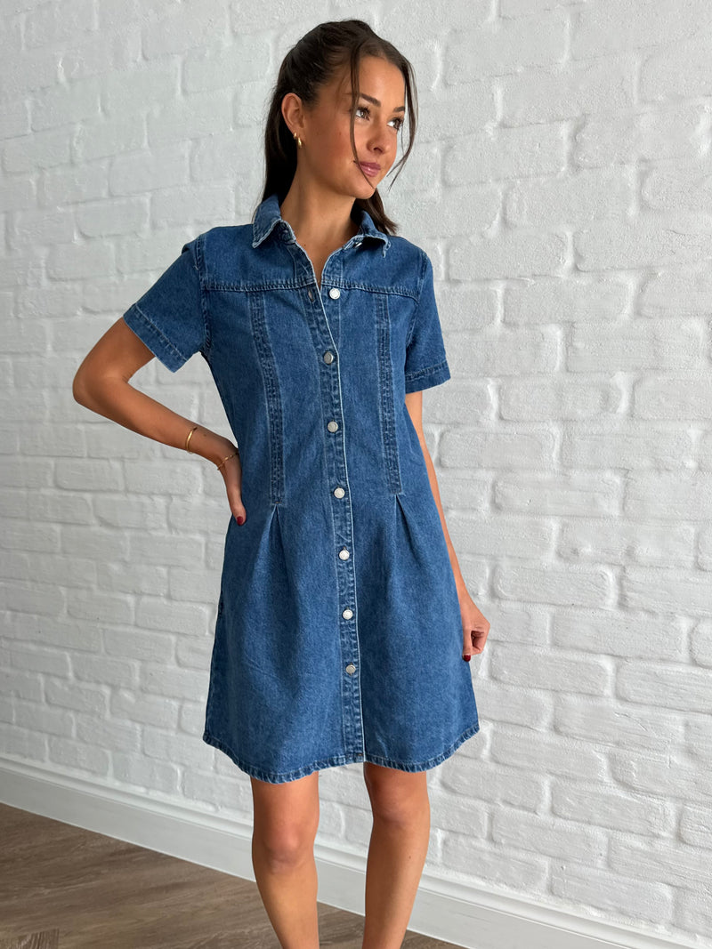 Eden denim dress