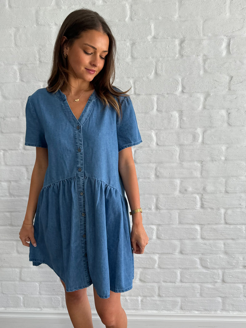 Frank denim dress/dark