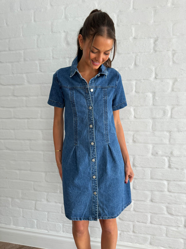 Eden denim dress