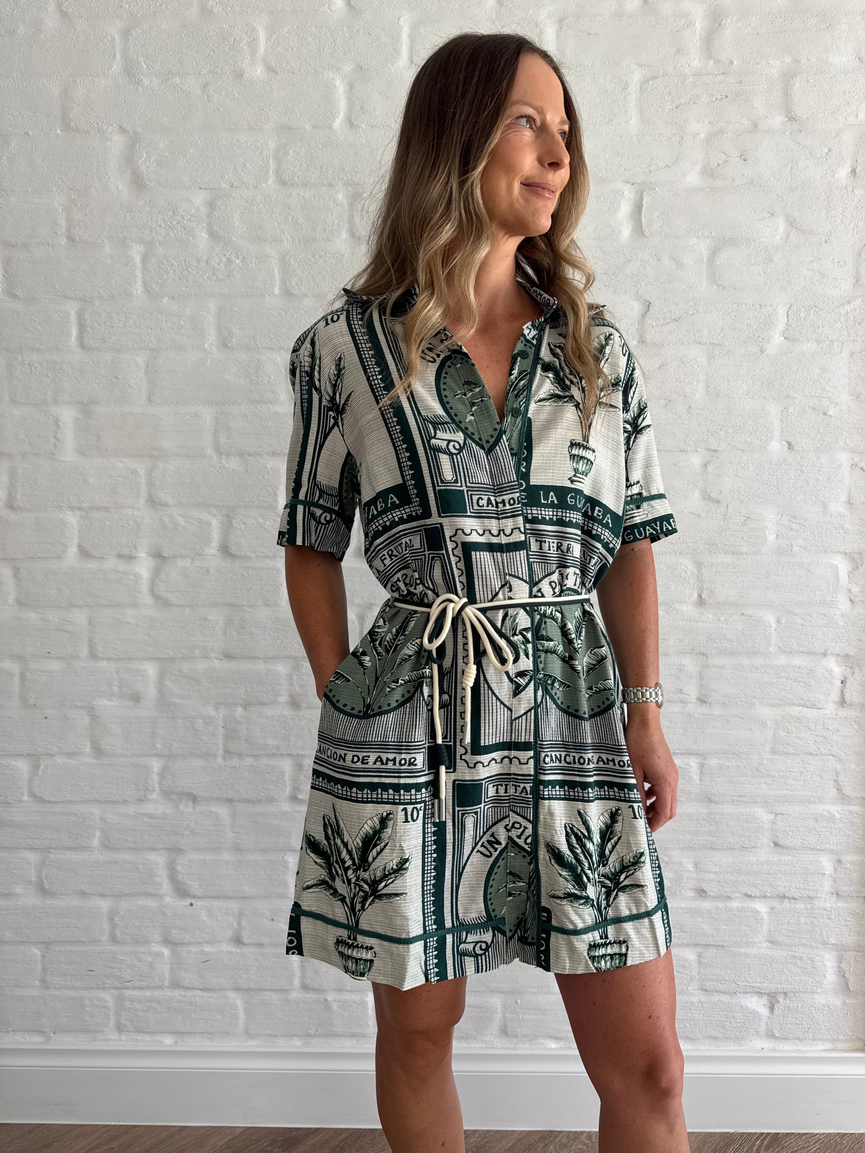 La guava shirt dress