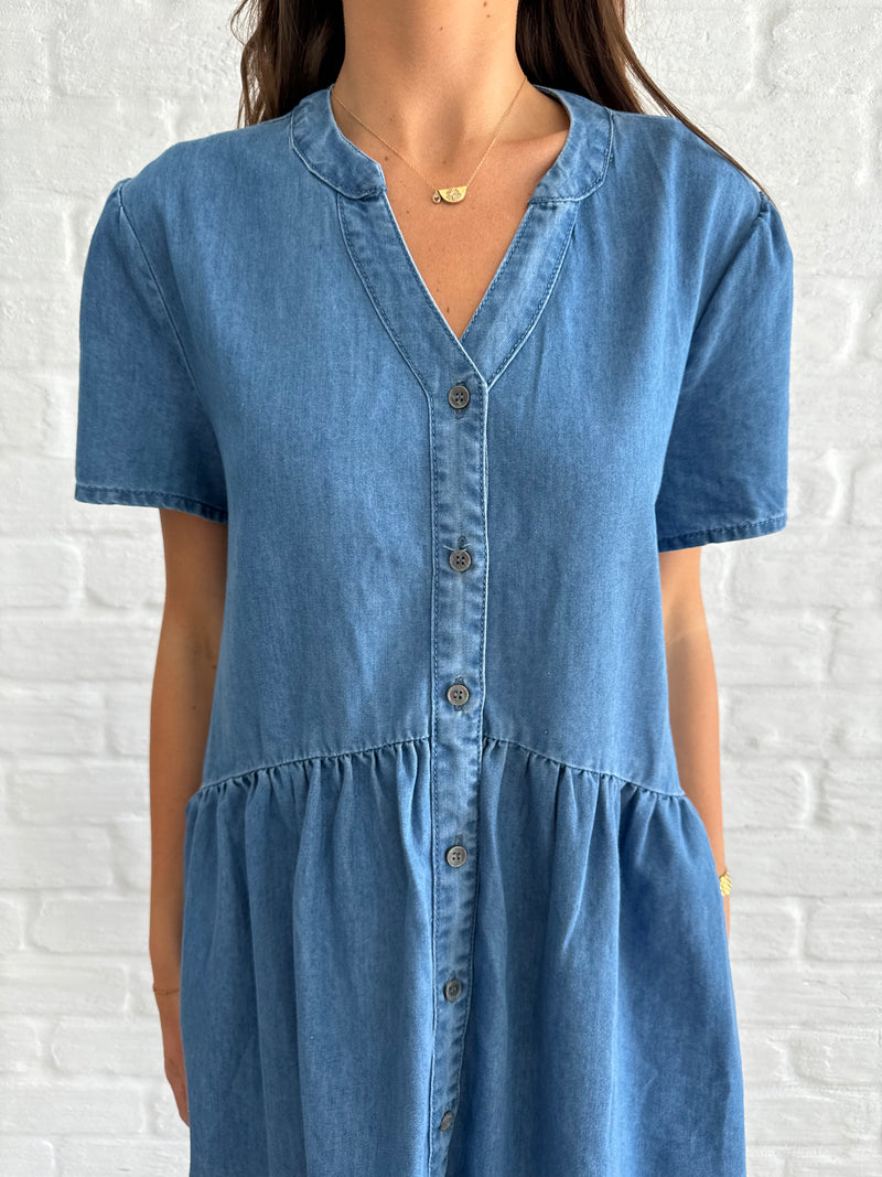 Frank denim dress/dark